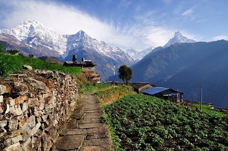 Annapurna Region Hiking