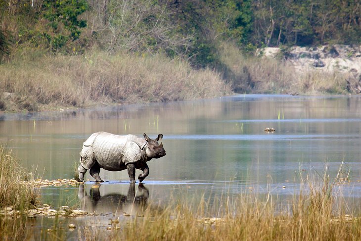 Chitwan National Park